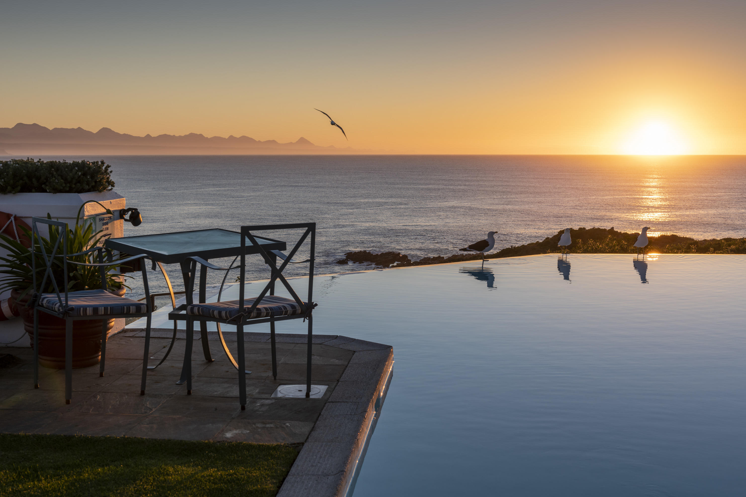 The Plettenberg thumbnail 1